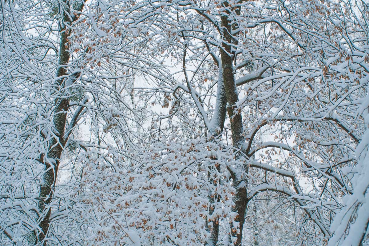 Идеальная заставка на рабочий стол, не правда ли?