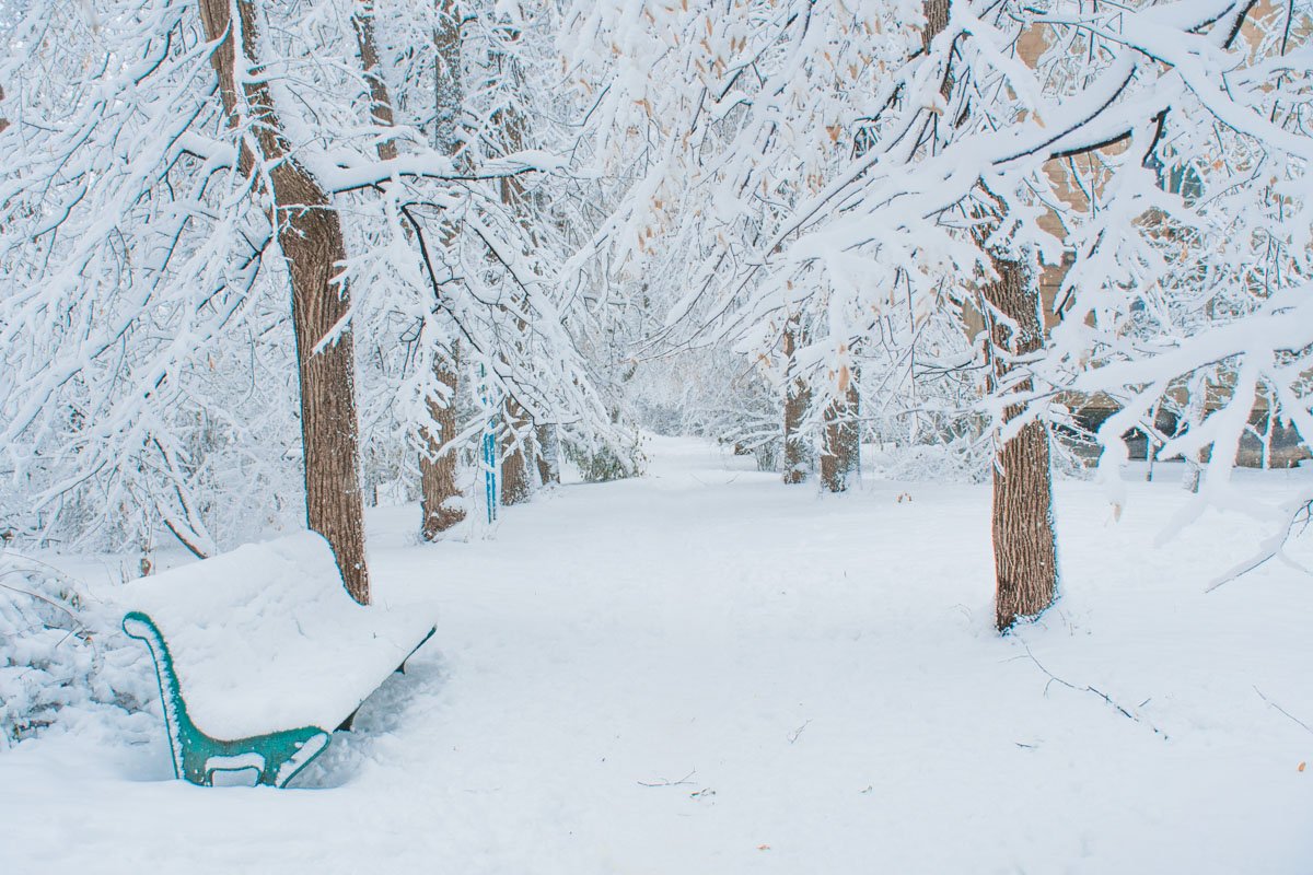 Прекрасное место для романтических прогулок со второй половинкой