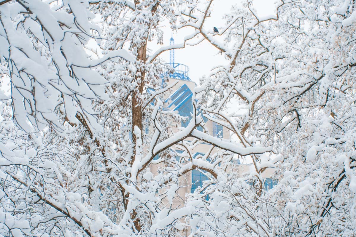 Белоснежность города только подчеркивает яркие акценты