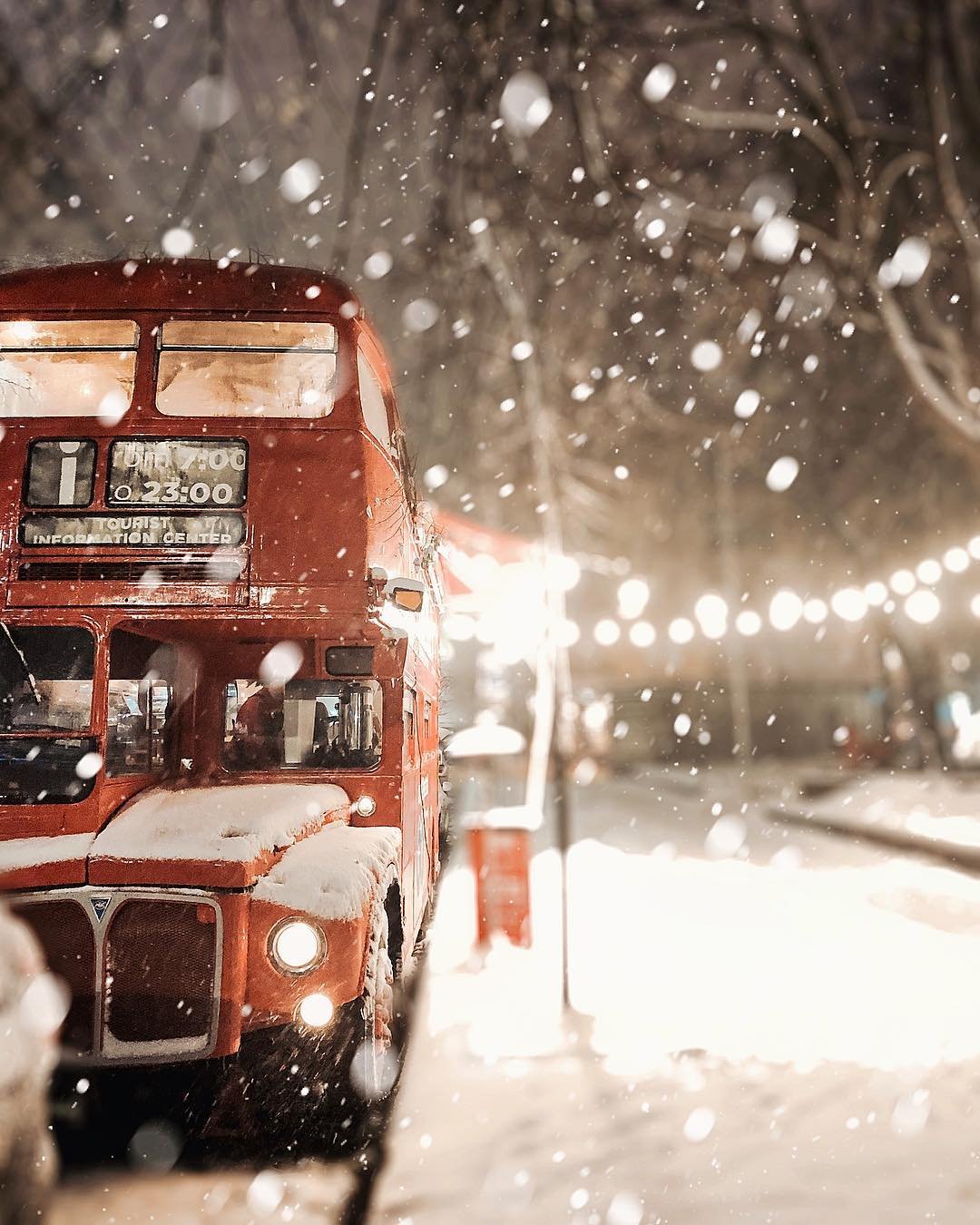 В воздухе витает сказочная атмосфера. Фото: @mrsvoloshchuk