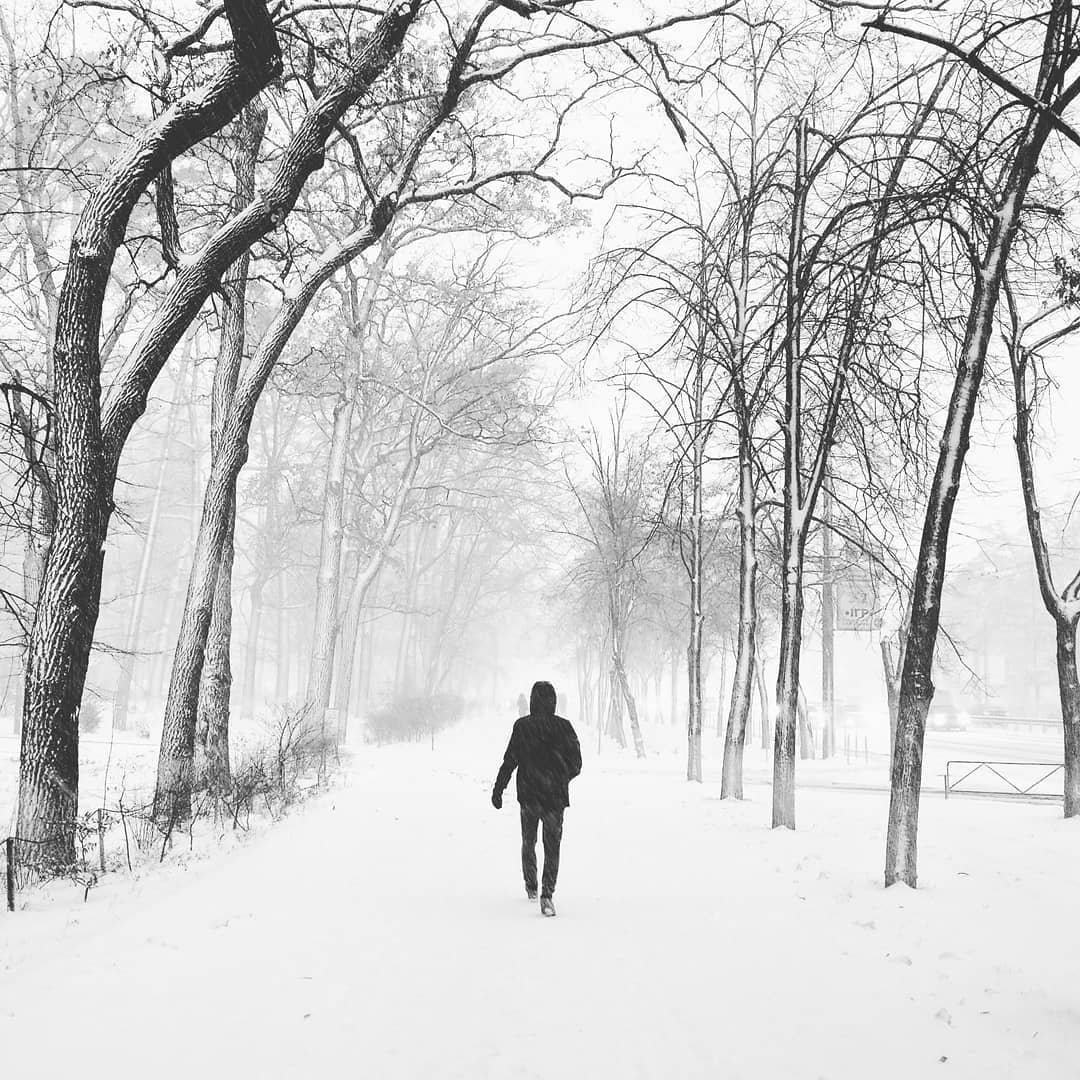 На пути к новогоднему волшебству. Фото: @vlad.pyatigor