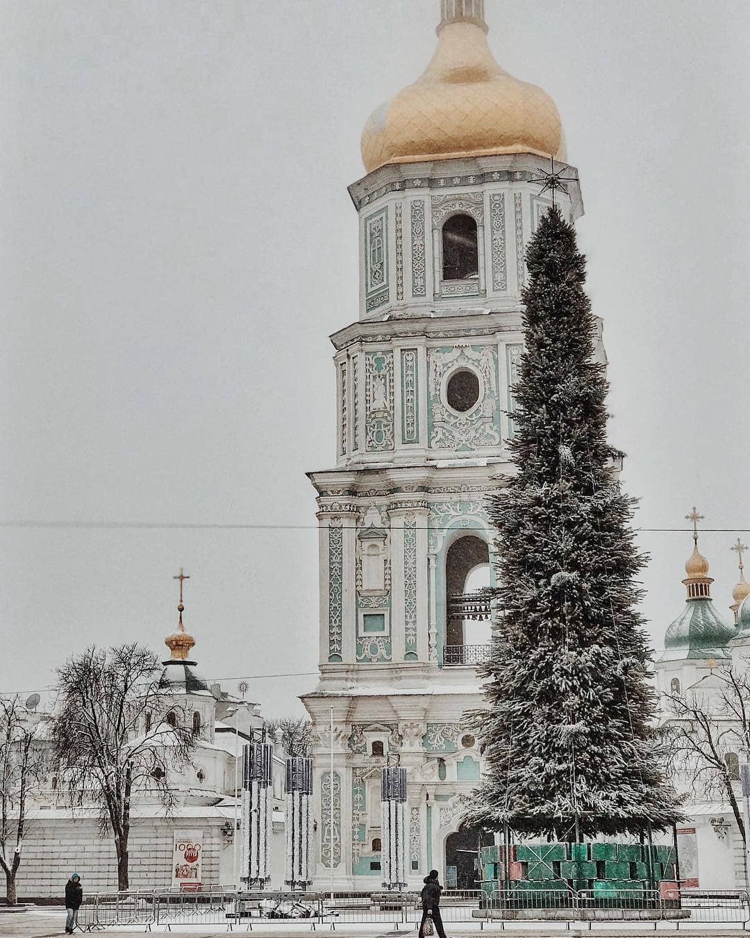Главная елка страны уже радует всех своим видом, а совсем скоро она засветится самыми яркими огнями. Фото: @anndenysova