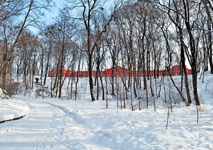 После занятий - сразу на санки