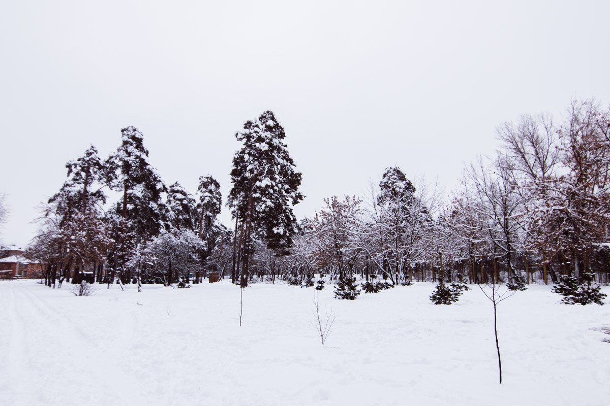 В Киеве по адресу улица Тростянецкая, 60 появится новый многофункциональный спортивный комплекс В Киеве по адресу улица Тростянецкая, 60 появится новый многофункциональный спортивный комплекс