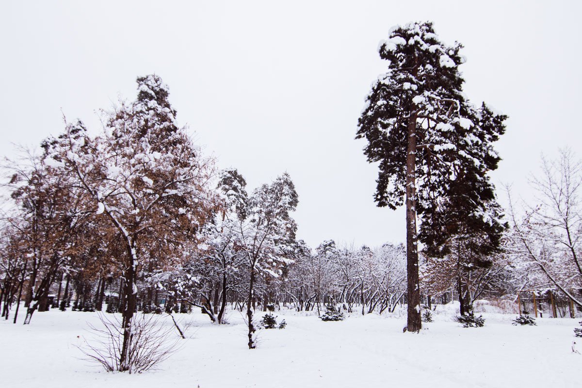 Проект представлен в рамках программы «Молодежь и спорт столицы» Проект представлен в рамках программы «Молодежь и спорт столицы»