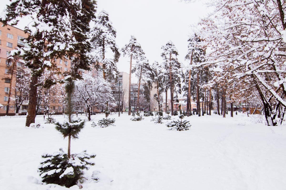 Рядом находятся жилые дома Рядом находятся жилые дома