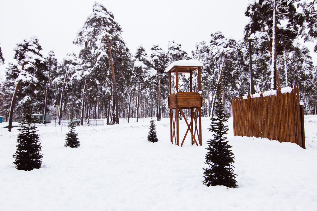 Кроме того, на территории стоят деревянные вышка и забор Кроме того, на территории стоят деревянные вышка и забор