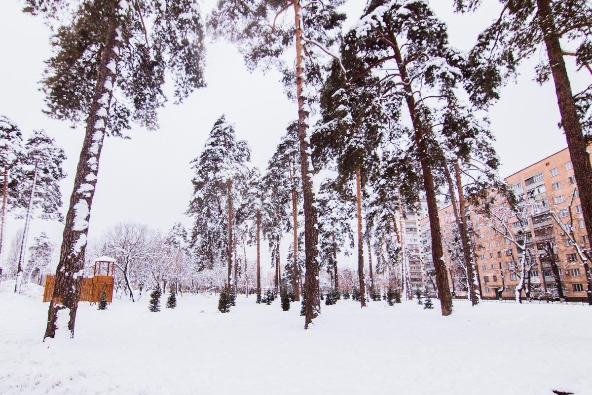 Строительство начнется в 2019 году, завершить его планируют до 2021 Строительство начнется в 2019 году, завершить его планируют до 2021