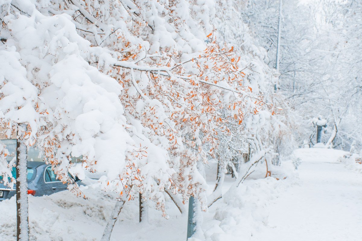 Любимый Киев под снегом становится ещё прекраснее обычного Любимый Киев под снегом становится ещё прекраснее обычного