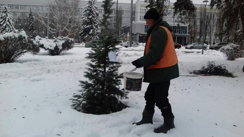 Они неопасны на улице, но в помещение излучают неприятный запах