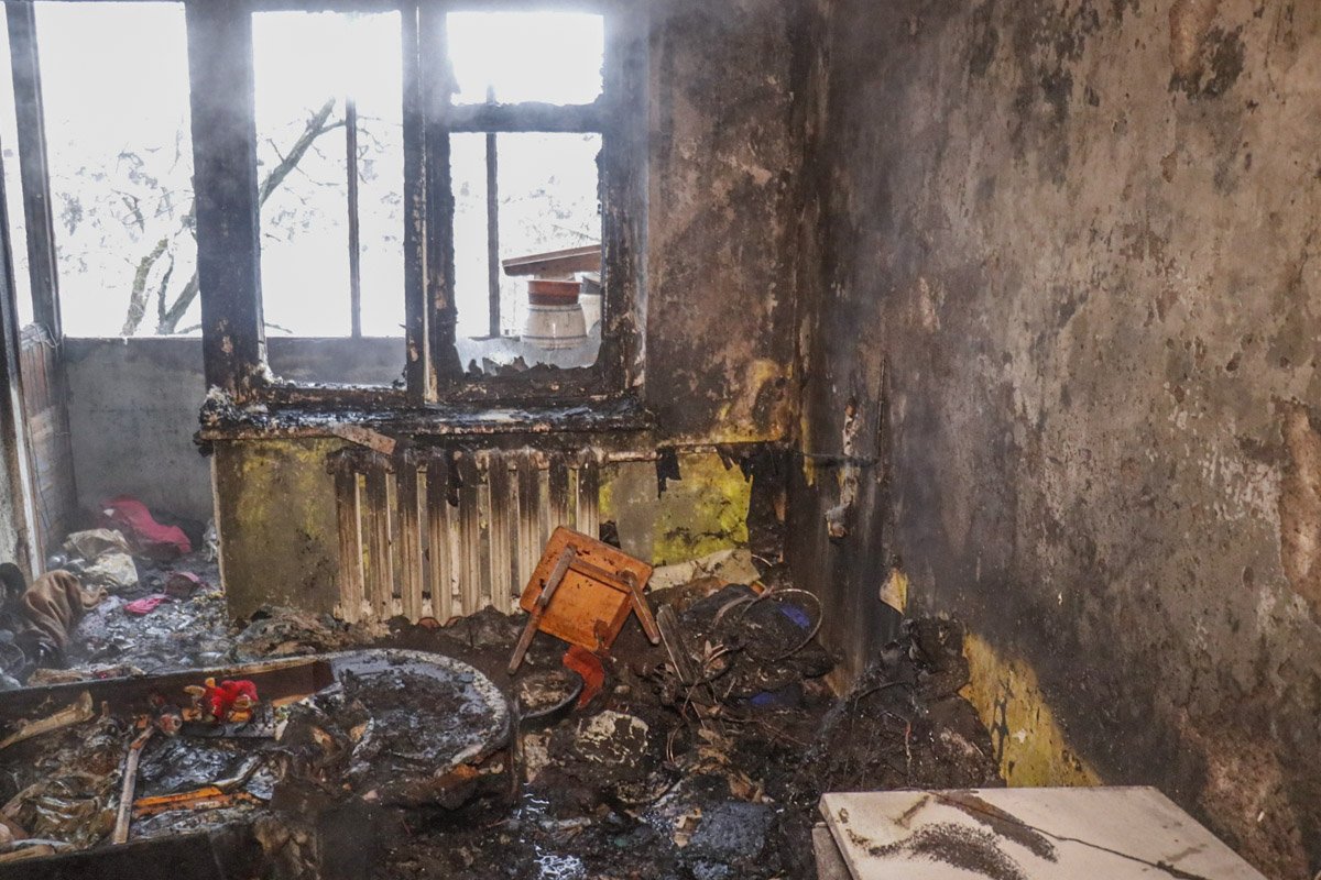 В момент пожара в квартире находились две собаки