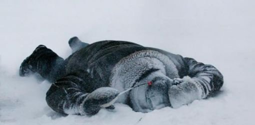 В понедельник вечером, 17 декабря, от холода в Сербии умерли три человека