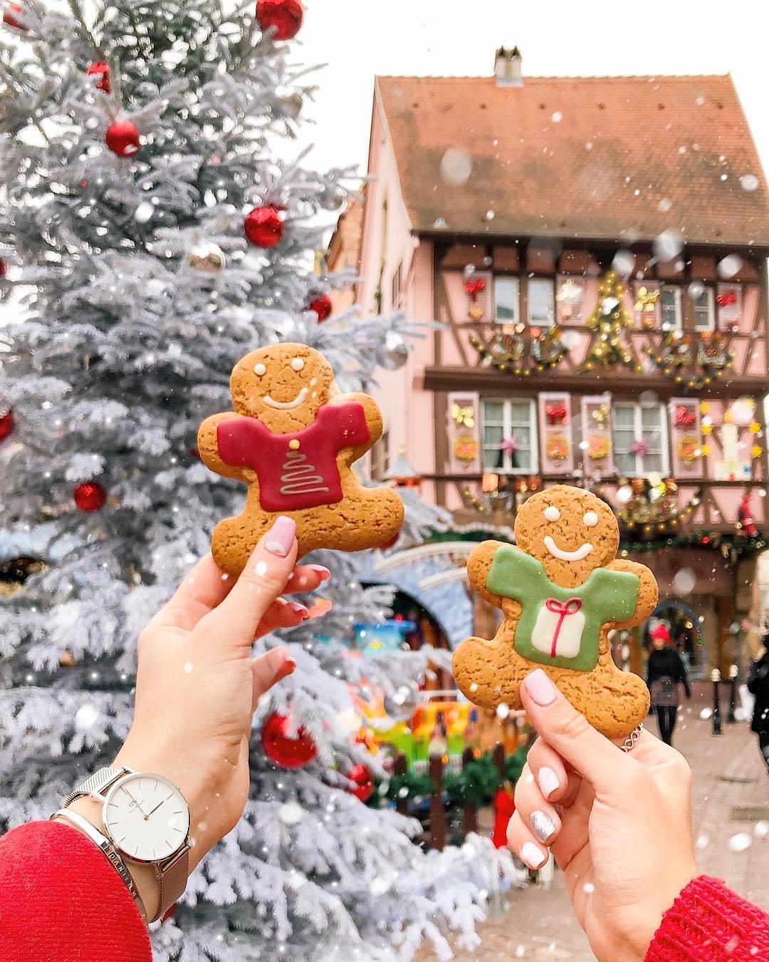 Фото: @angelina Фото: @angelina