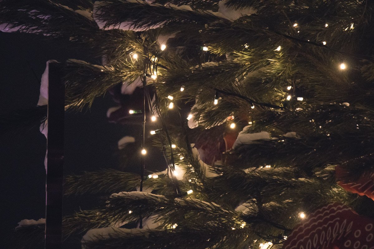 Гирлянды на зеленой красавице засветились в 17:30