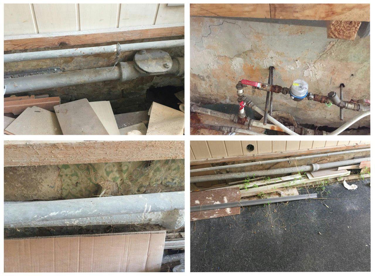 «Бизнес под видом науки»: история одного стоматологического центра 4