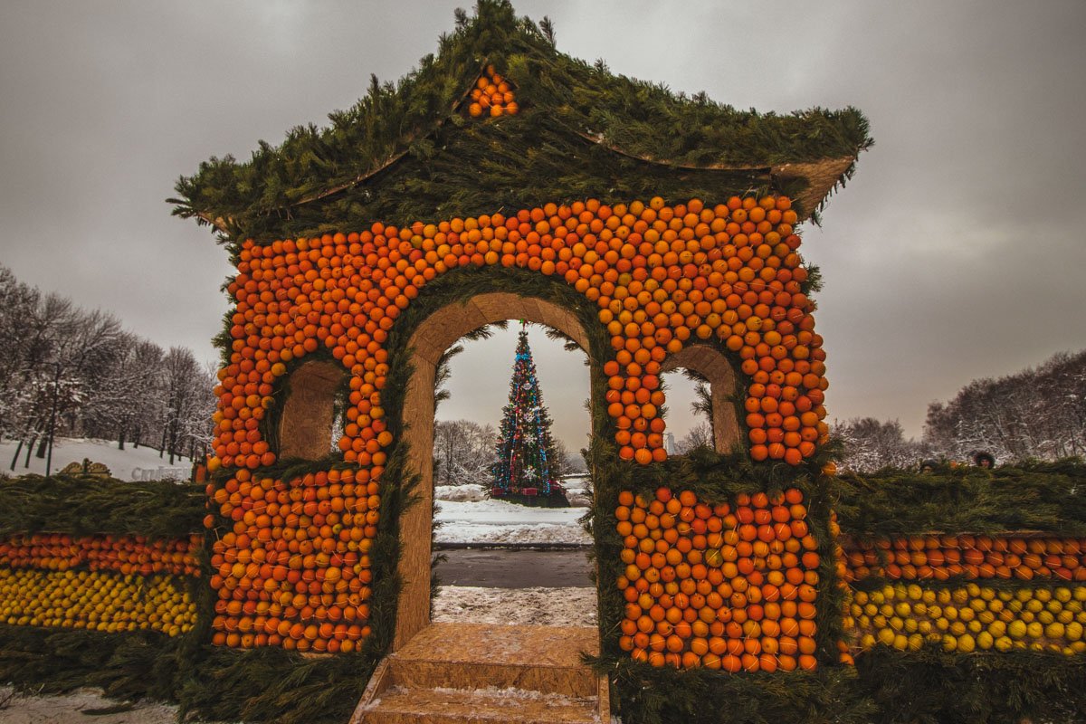 Врата в новый год