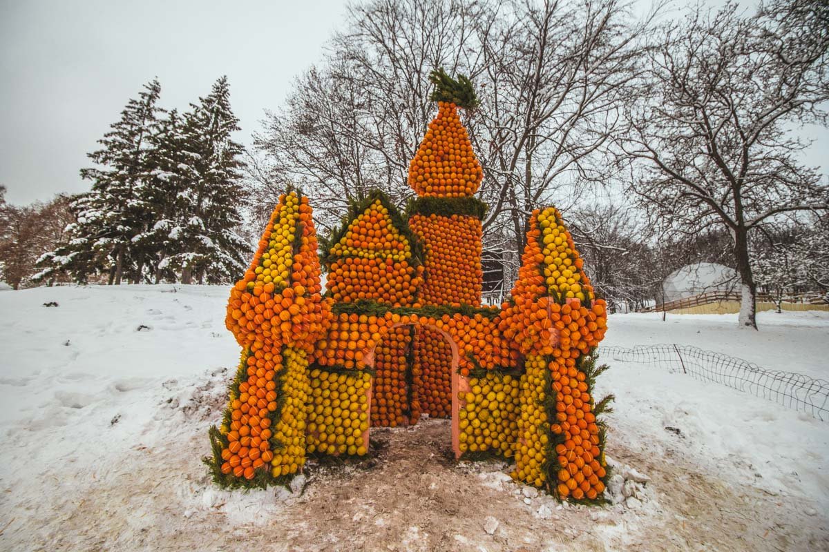 Словно апельсиновый торт