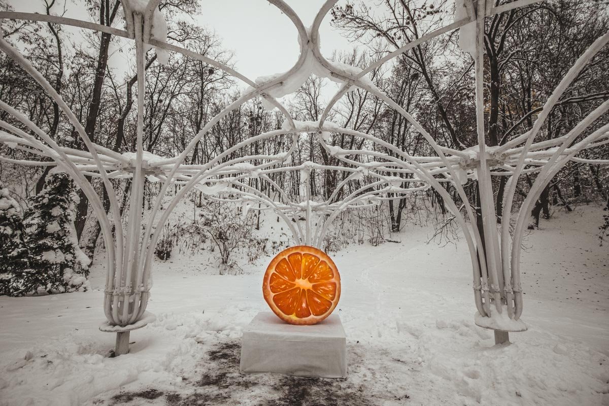 Виновник цитрусового торжества