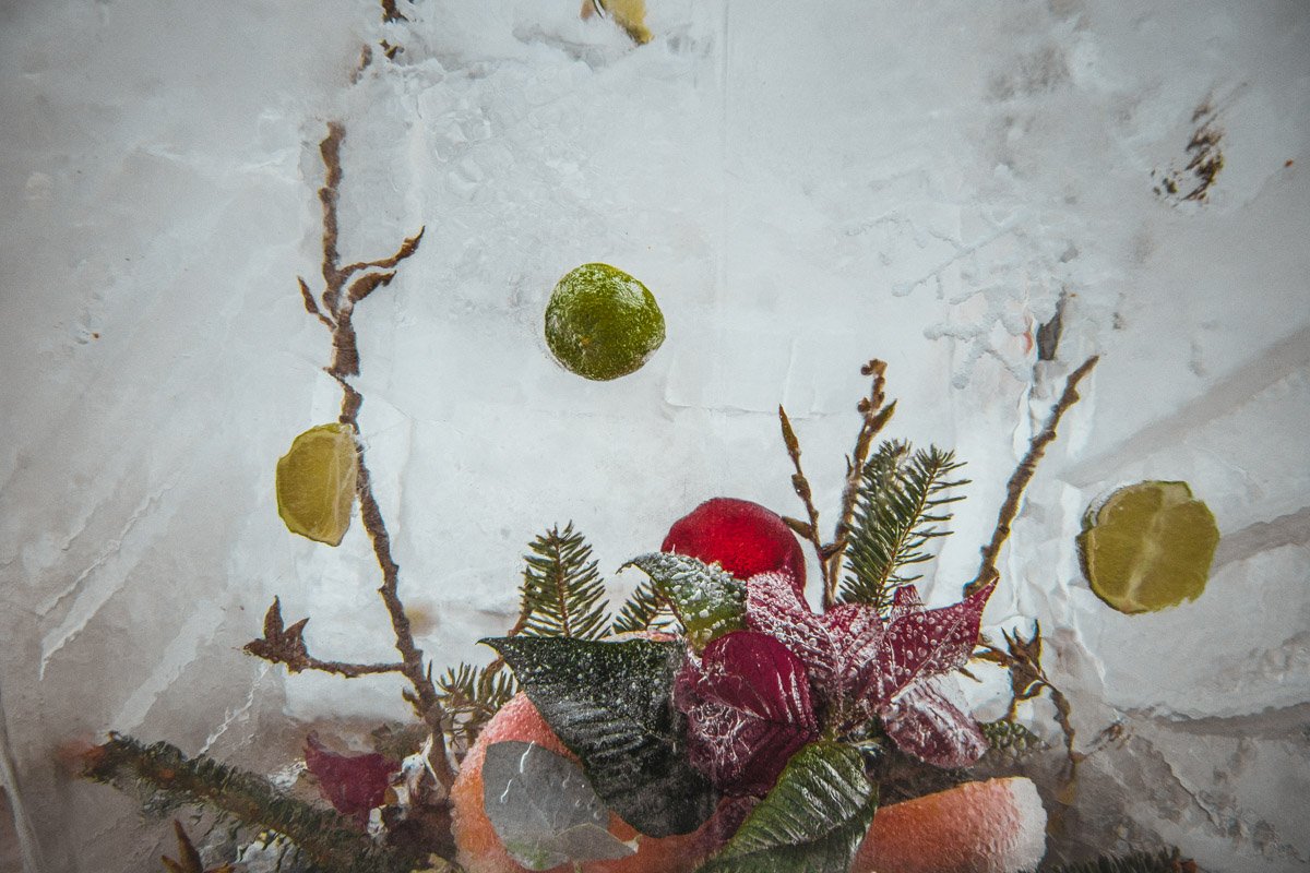 Ледяной натюрморт