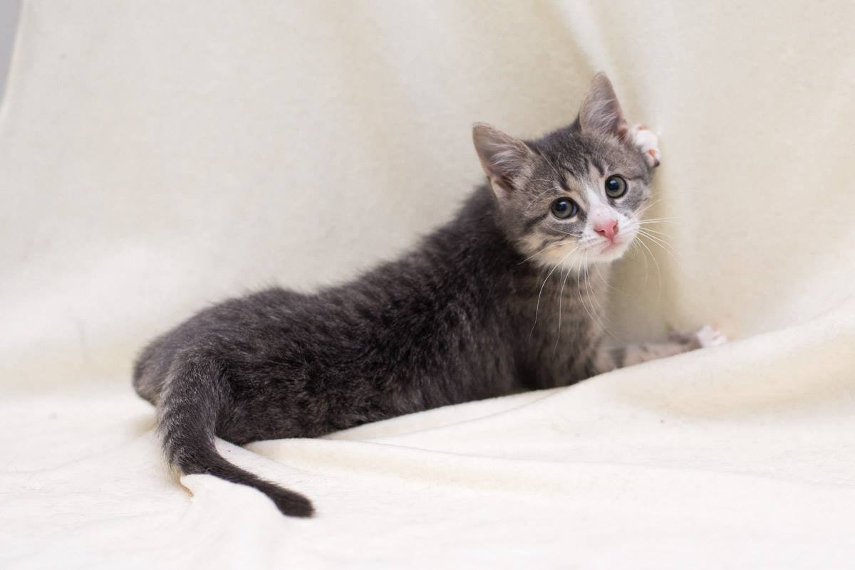 Малыш Беня ждет кого-то. Возможно, именно вас! Малыш Беня ждет кого-то. Возможно, именно вас!