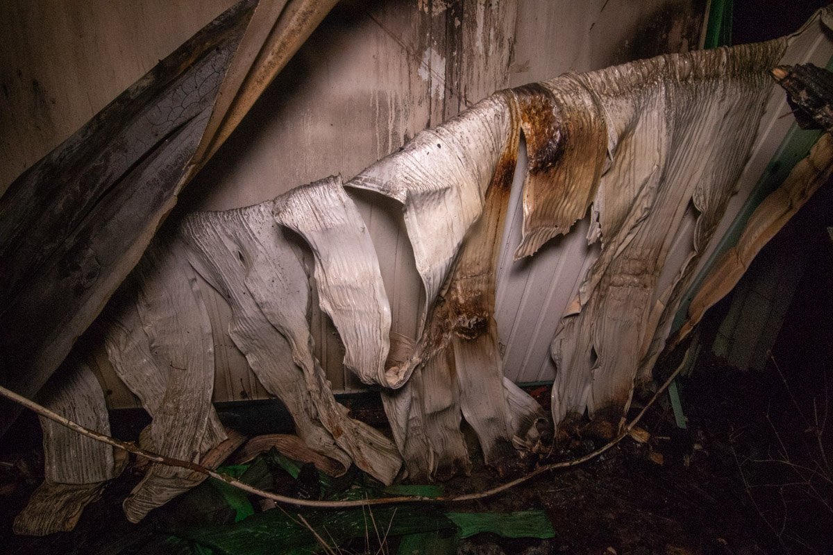 По словам охранника парковки ресторана, причиной загорания стало короткое замыкание электросети По словам охранника парковки ресторана, причиной загорания стало короткое замыкание электросети