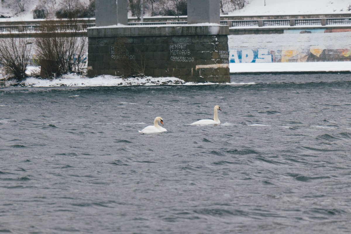 Проект реконструкции должен сделать Центральный пляж частью рекреационного маршрута на Трухановом острове