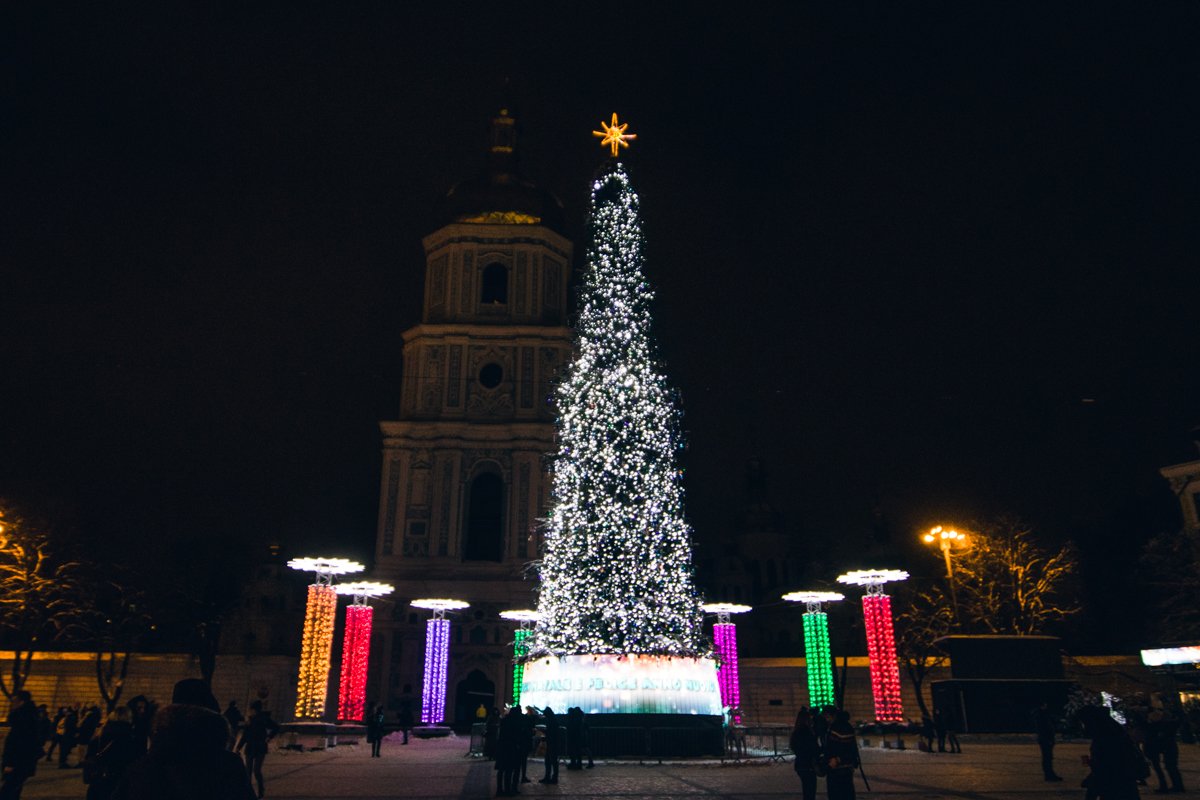 Лесная красавица сияла всеми своими красками Лесная красавица сияла всеми своими красками