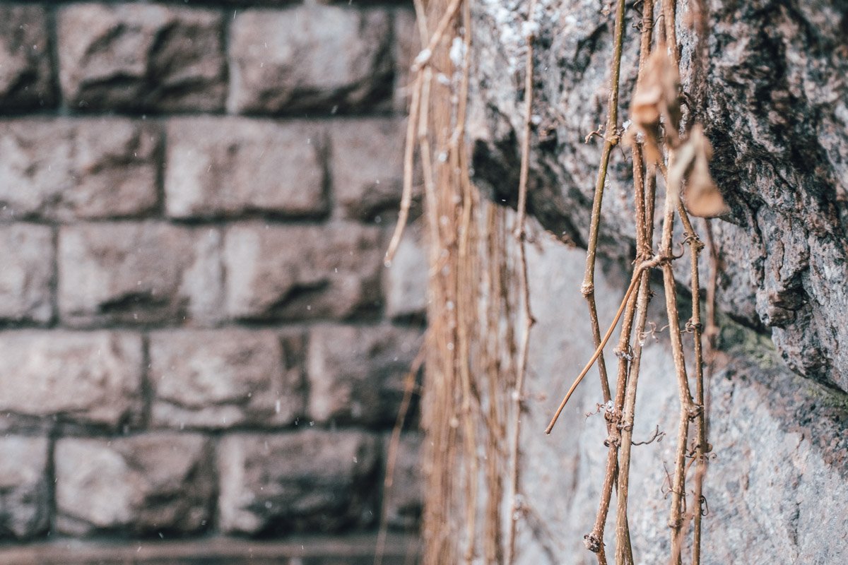 Но знаете, даже в такой серости можно найти что-то красивое