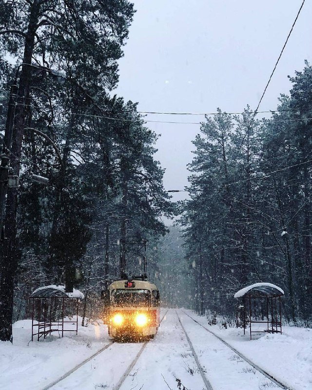 Трамваи в снегу - как особый вид искусства. Фото: @bogdan_susol