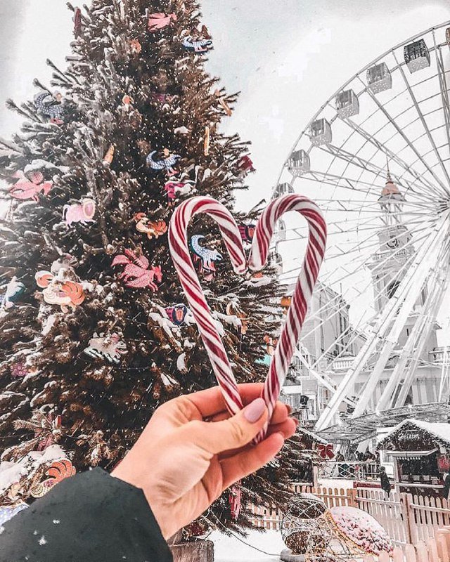 Как открыточка! Фото: @gunchenko_a