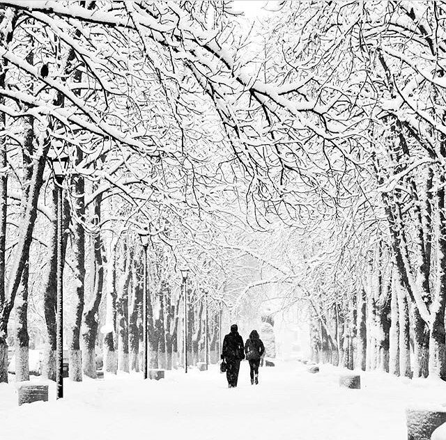 По пути в сказку. Фото: @chirikalove