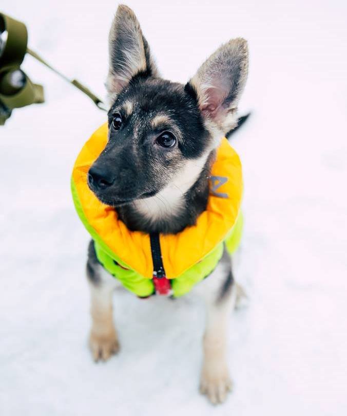 Малышке Лилу - 4 месяца, а она уже столько повидала в жизни. Кажется, пора подарить ей чудо! Малышке Лилу - 4 месяца, а она уже столько повидала в жизни. Кажется, пора подарить ей чудо!