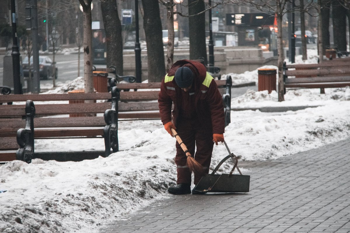На страже чистоты