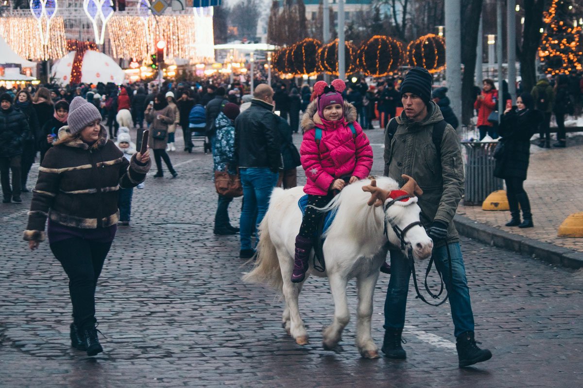 Некоторые даже прискакали на праздник Некоторые даже прискакали на праздник