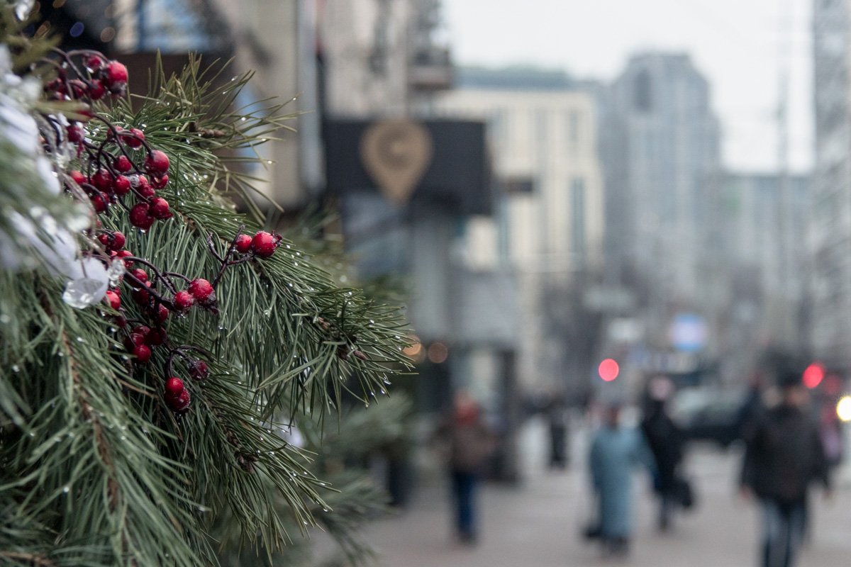 Но чувство прекрасного даже в такую погоду побеждает