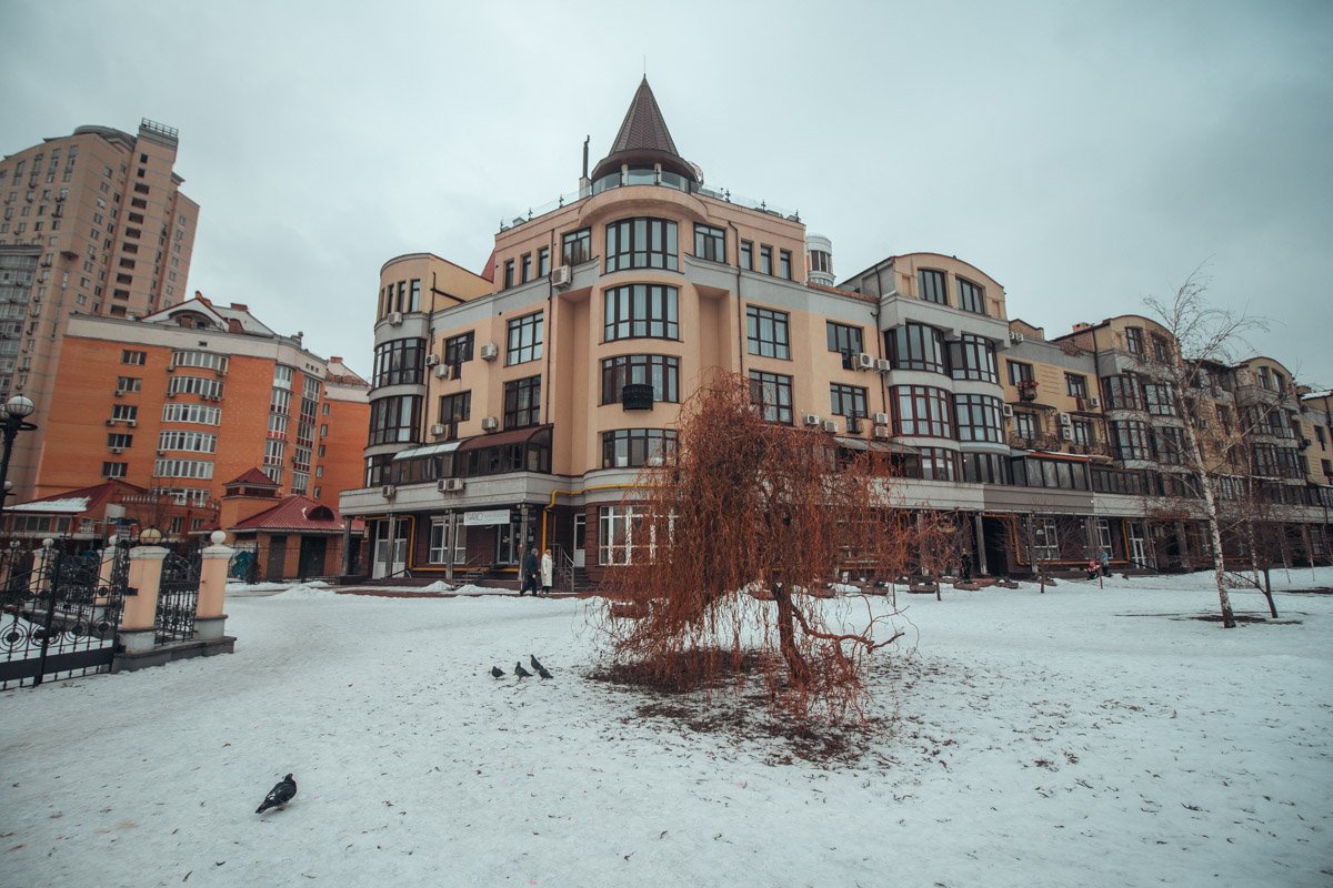 Краски зимы Краски зимы