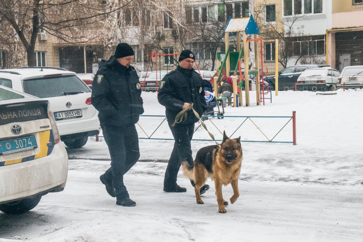 На место происшествия прибыли кинологи