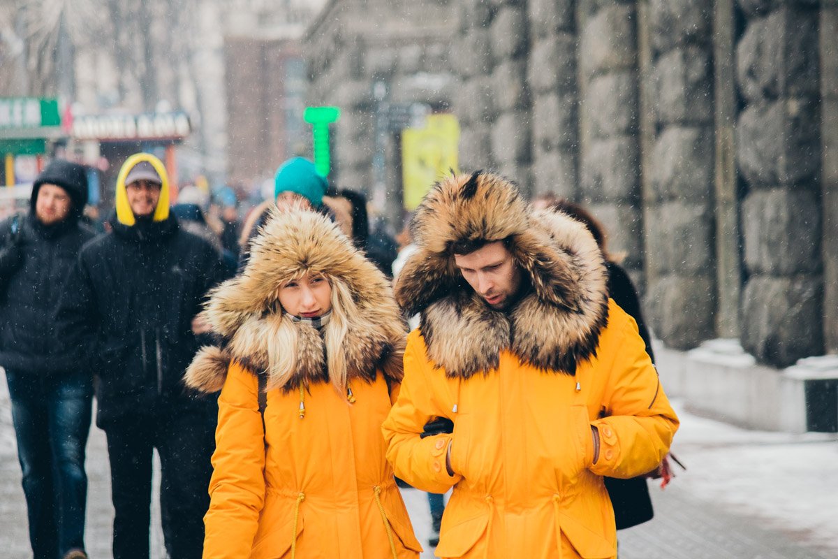 По Киеву гуляет парочка милых цыплят