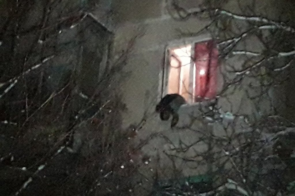 В ночь с 5 на 6 января в жилом доме в Мариуполе прогремел взрыв В ночь с 5 на 6 января в жилом доме в Мариуполе прогремел взрыв