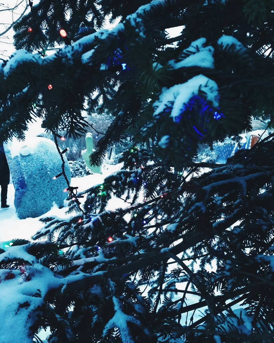 Снег укрыл пушистые еловые ветви, а гирлянды превратили дерево в еще более сказочное. Фото @leraa.bro