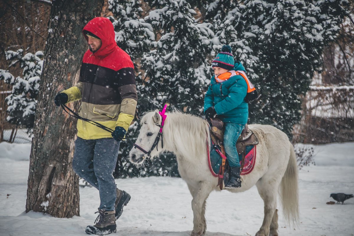 Маленький путешественник не боится снега Маленький путешественник не боится снега