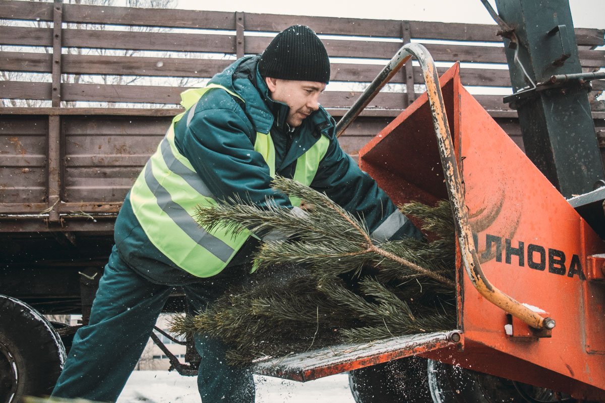 Здесь зеленые деревья проходят через дробилку