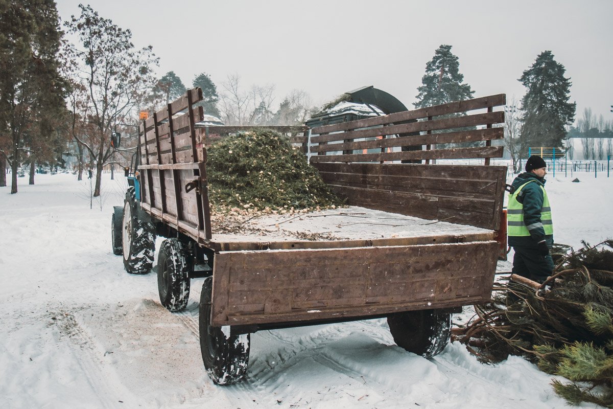 Полученные щепки собирают в кучу