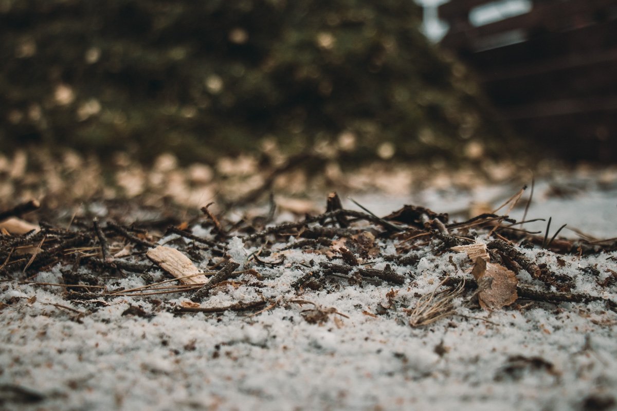 Измельченные ветки полезны для грунта