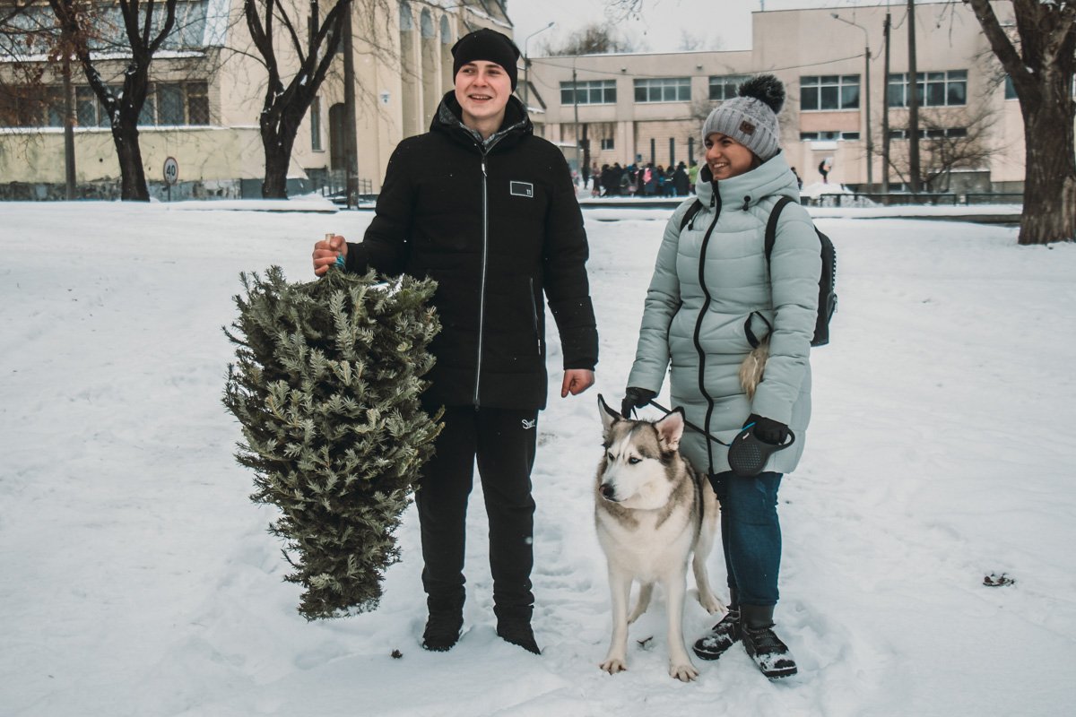 Жители Дарницкого района начинают сносить елки к пунктам сбора
