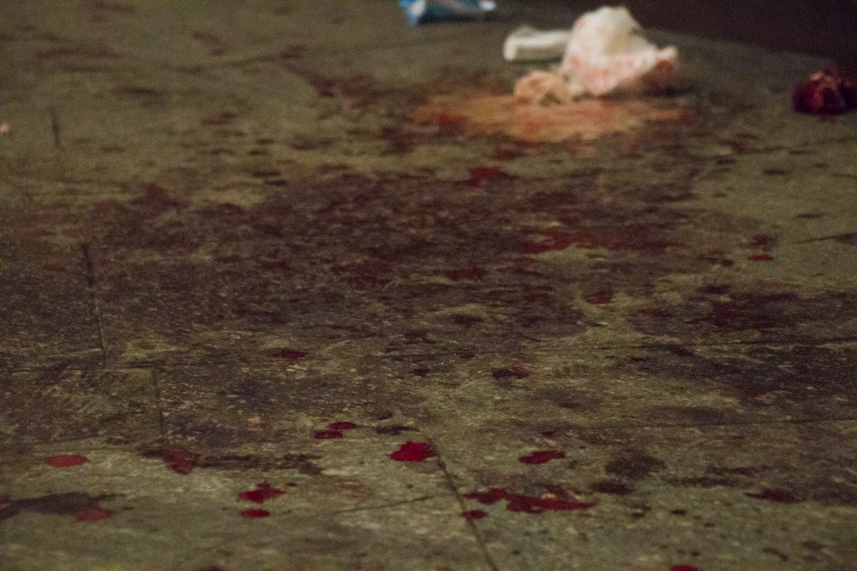 Инцидент произошел на территории ботанического сада имени Александра Фомина Инцидент произошел на территории ботанического сада имени Александра Фомина