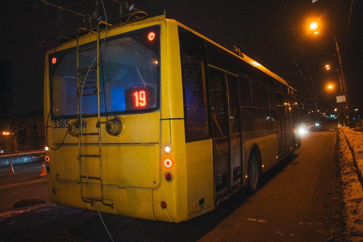 В результате чего, задела троллейбус и оборвала его провода
