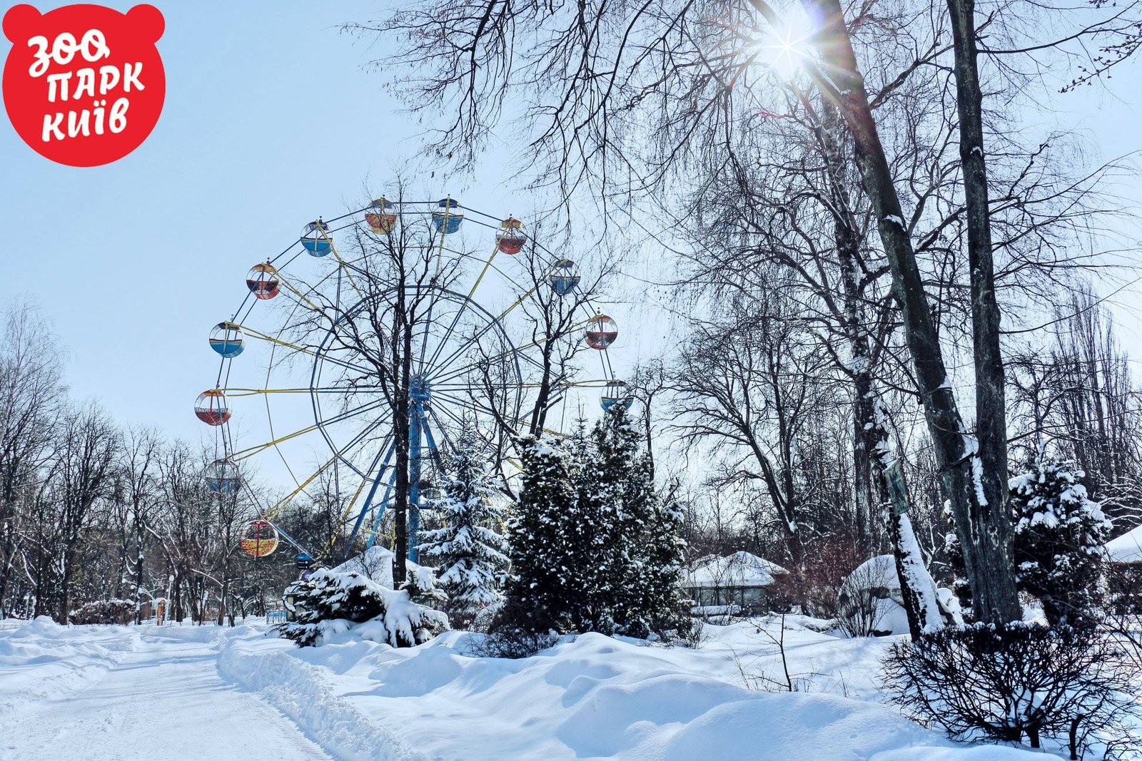 В этом месте царит настоящее волшебство, вокруг заснеженные деревья и дорожки