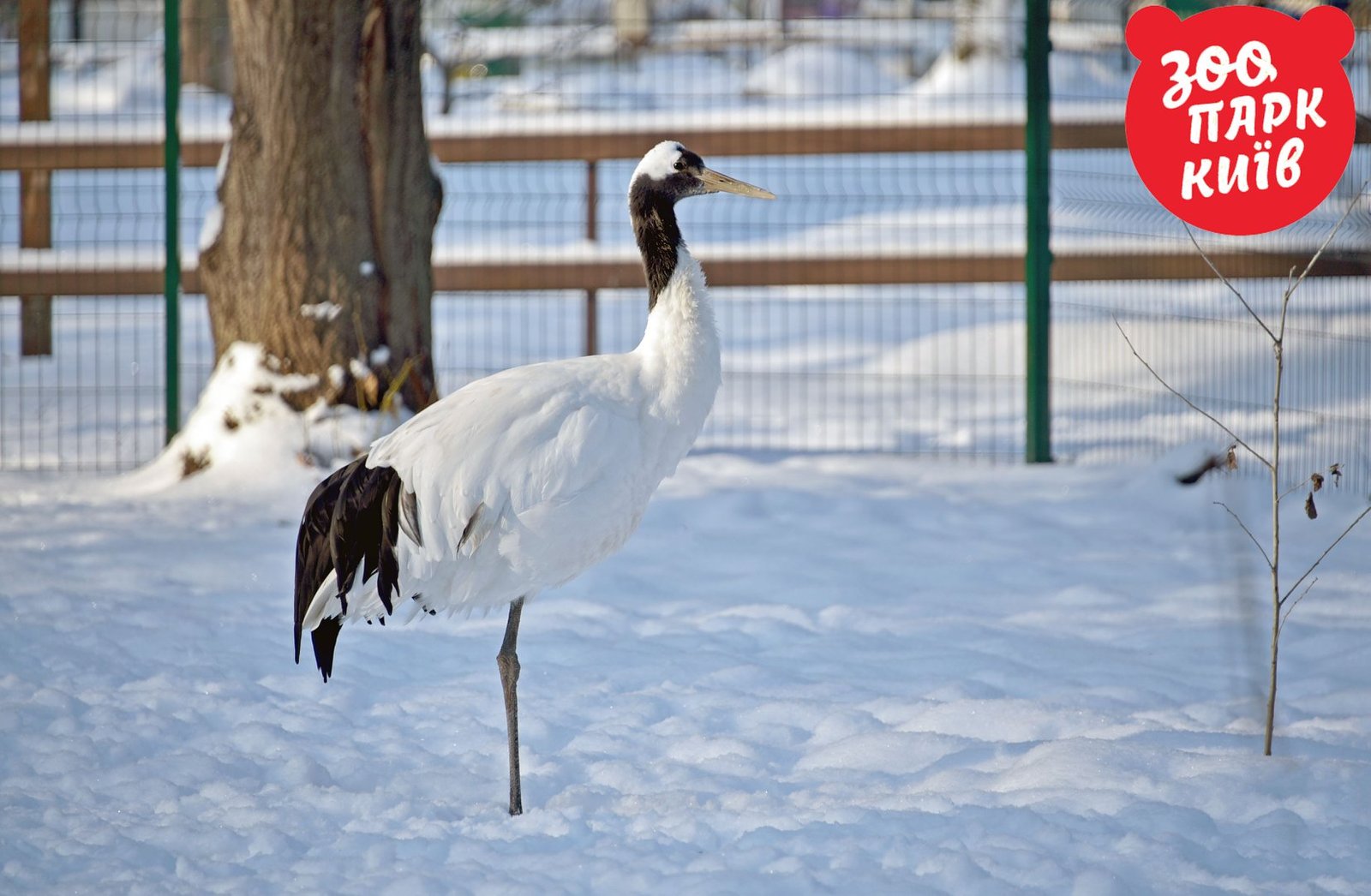 Некоторым даже не нужно двигаться с места, чтобы почувствовать себя счастливым