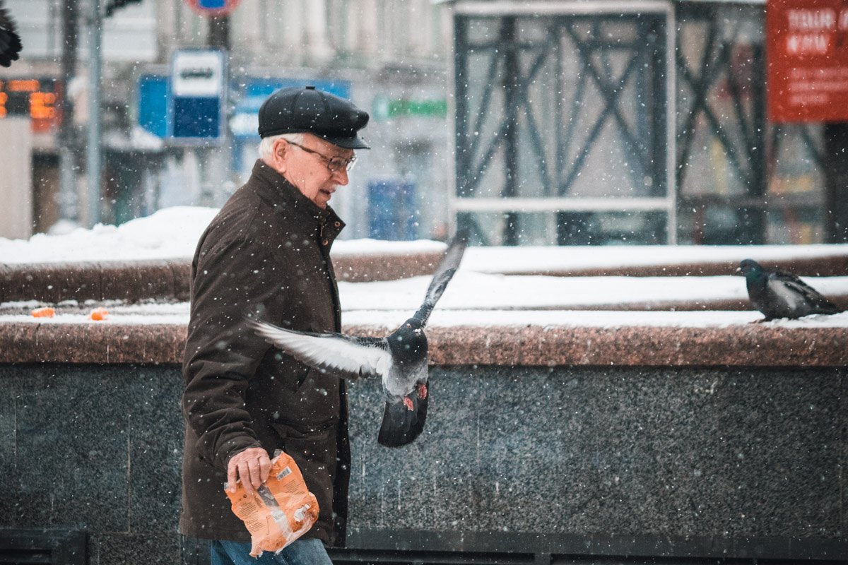 Выполнил миссию всех голубей на Бессарабке - попал в Информатор Выполнил миссию всех голубей на Бессарабке - попал в Информатор